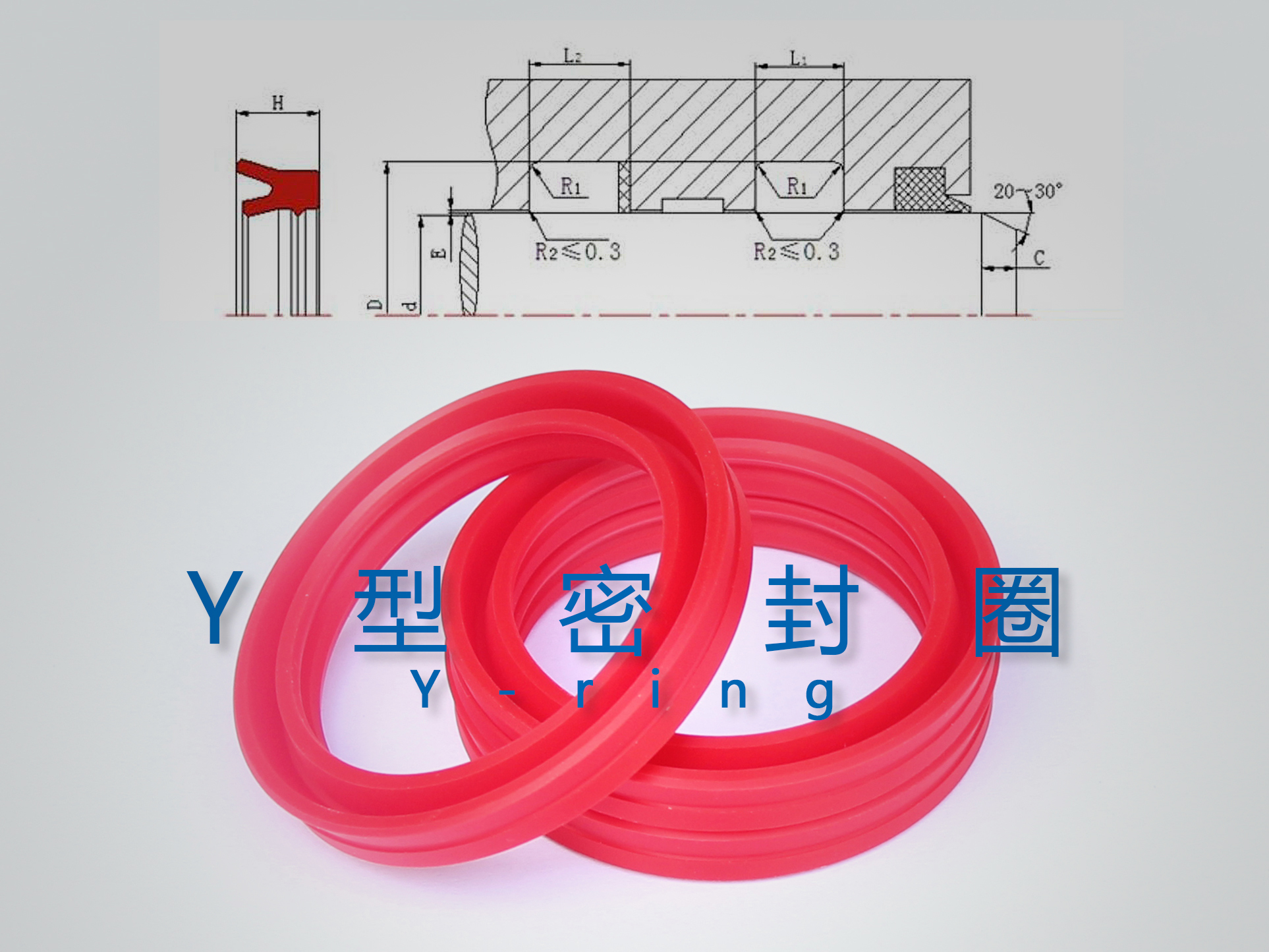 Y型密封圈（密封件、油封）與截面結(jié)構(gòu)產(chǎn)品圖
