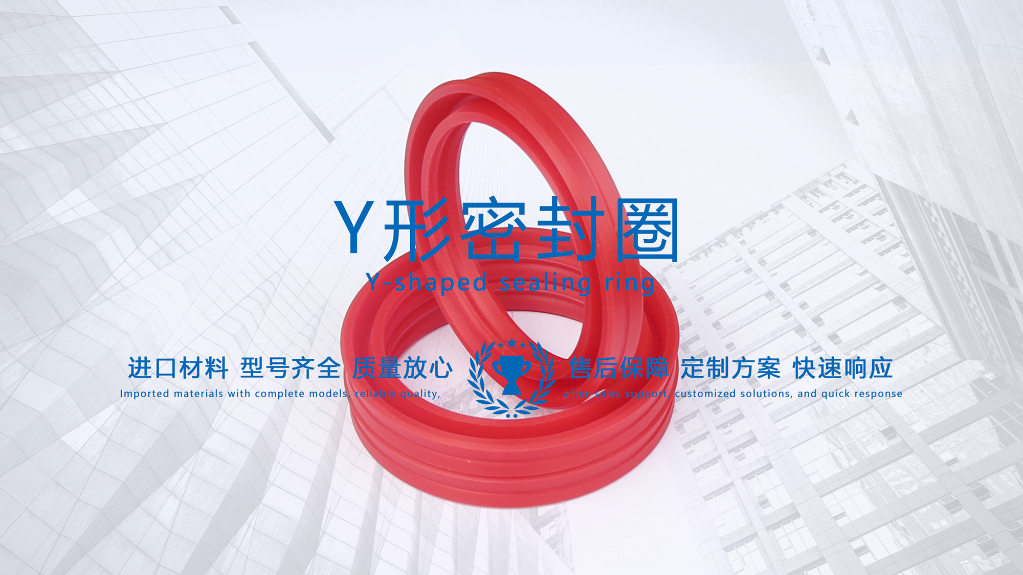 y型密封圈（又Y形密封圈，Y形圈，Y型圖或唇形密封圈，密封件油封膜片） (3)
